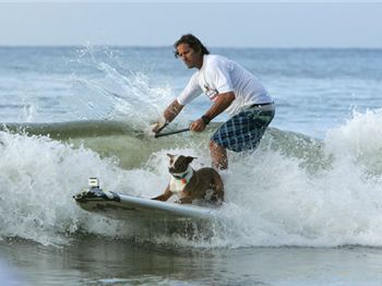 Noosa Festival of Surfing a mixed bag for SUP entrants - Stand Up Paddle News