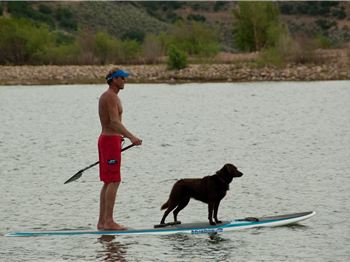 What has six legs and floats on water? - Stand Up Paddle News