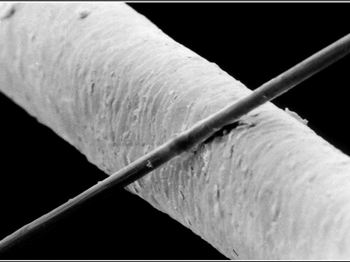 "My shaft just snapped!" Paddle shafts and your excuses... - Stand Up Paddle News